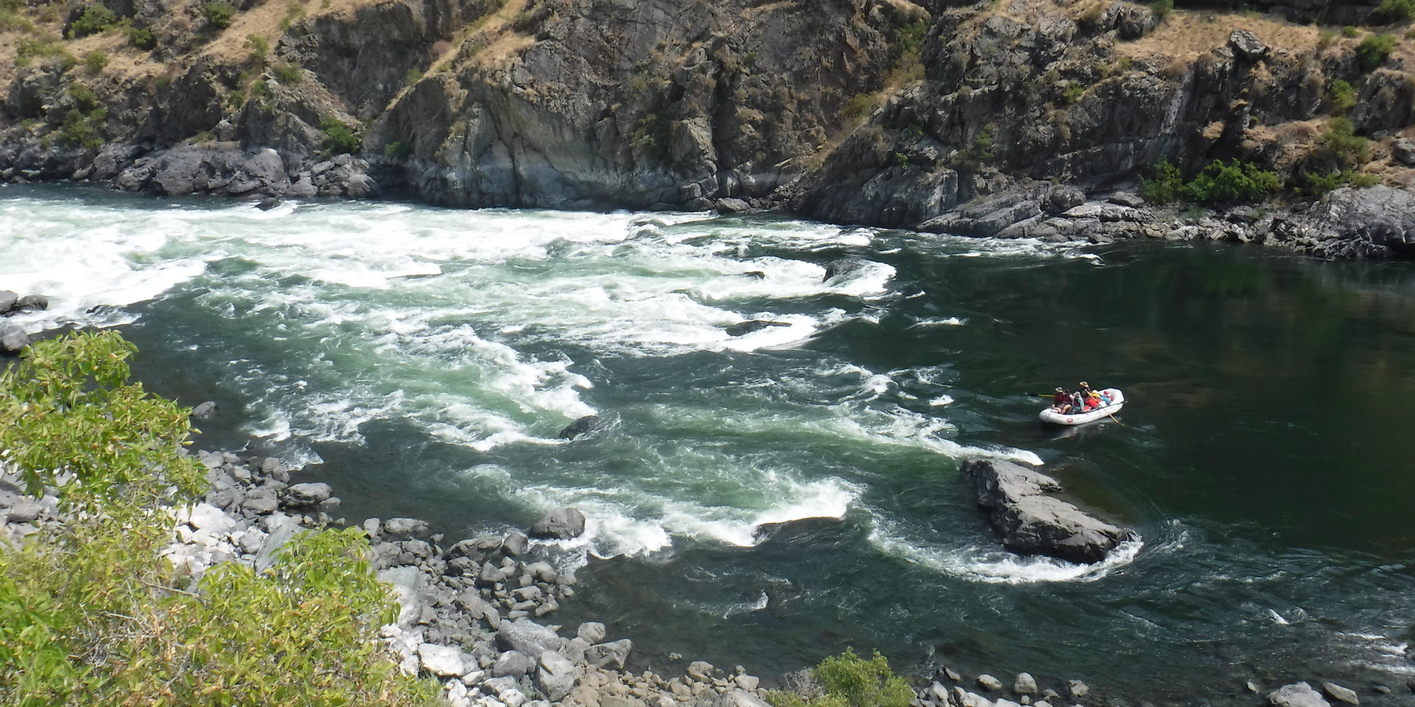 Scout of Wild Sheep Rapid from the Oregon side of Hells Canyon, Snake River