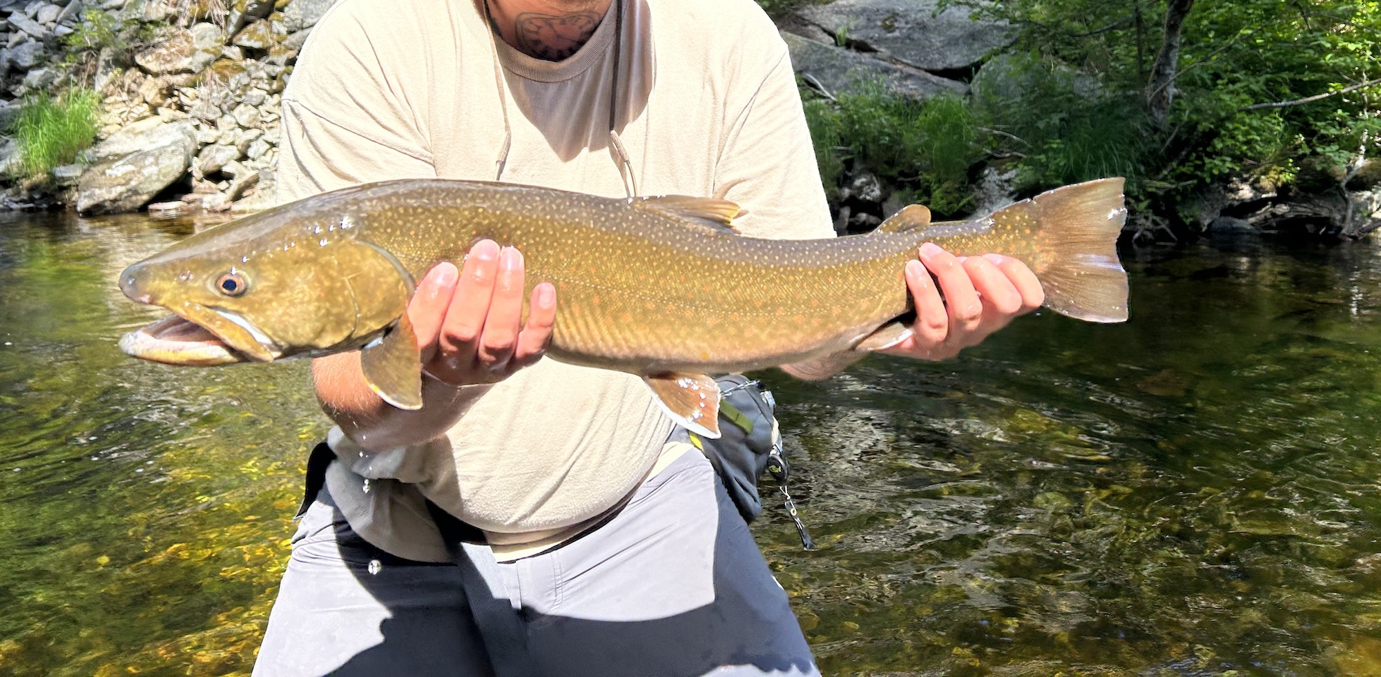 Man holding an Idaho bull trout on the Yellowstone River