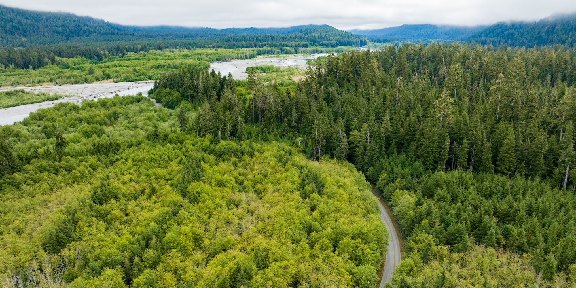 Aerial view of lush forests and winding rivers on the Olympic Peninsula, highlighting the scenic drive into Washington’s coastal region.