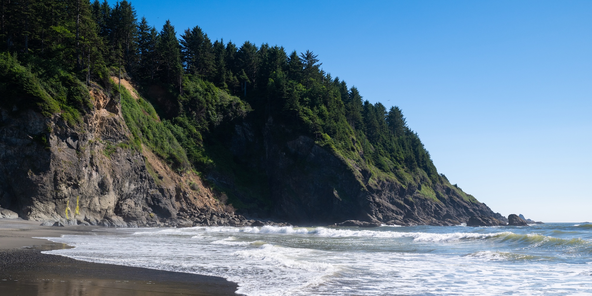 Dramatic coastal cliffs and forested bluffs rising above the ocean waves at La Push on the Olympic Peninsula.