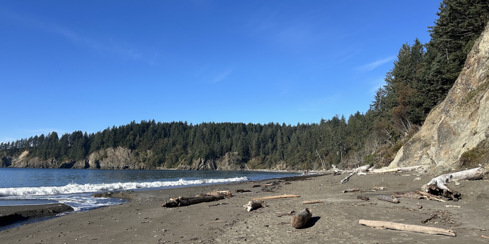 A scenic view of driftwood scattered along the shore at Third Beach on the Olympic Peninsula, surrounded by coastal cliffs and evergreen forests under a clear blue sky.